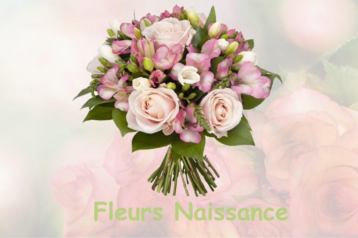 fleurs naissance BIARNE