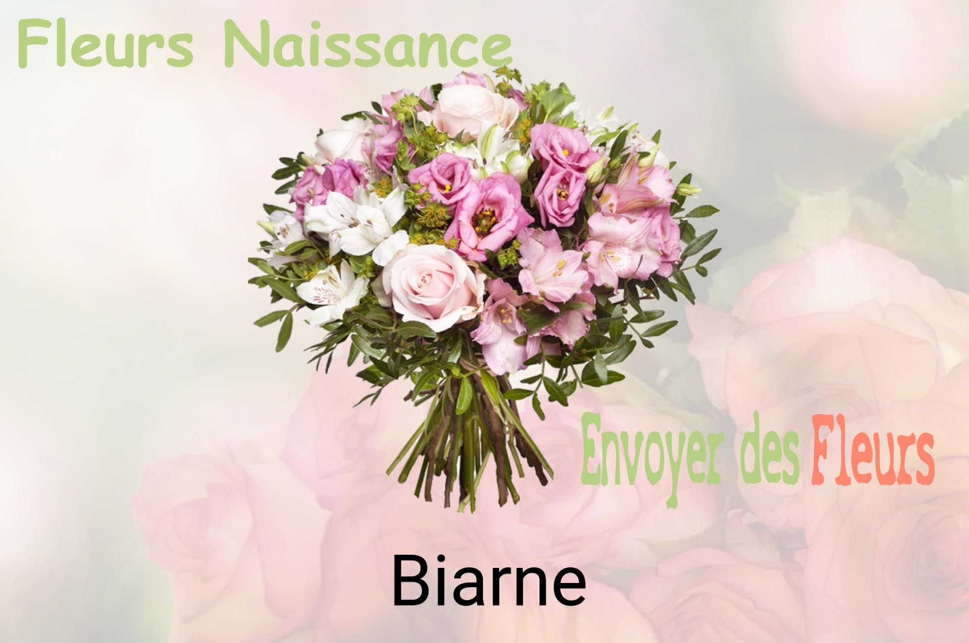Bouquet de fleurs de naissance livré à Biarne