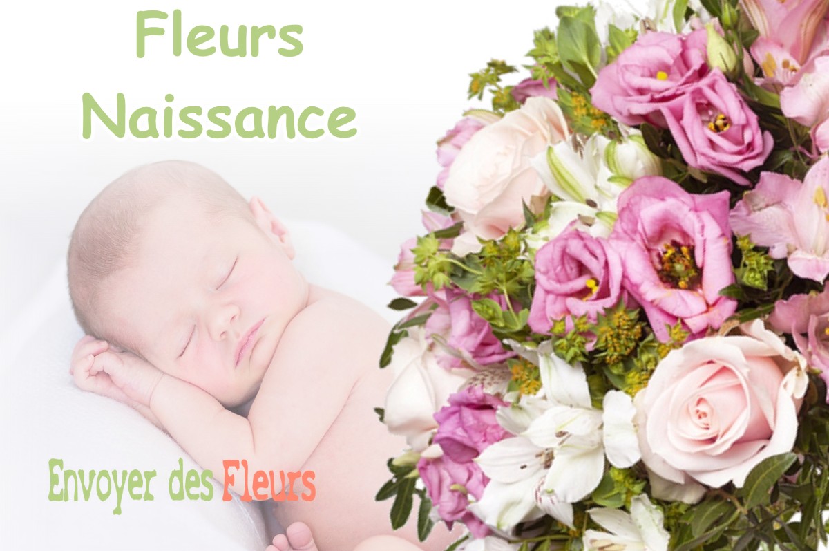 lIVRAISON FLEURS NAISSANCE à BIARNE